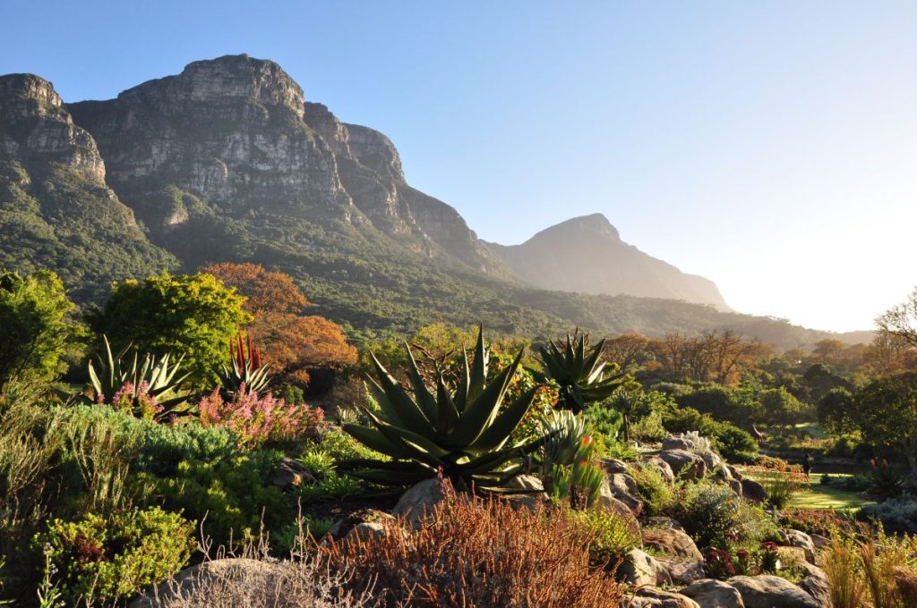 Must-Visit Nature Spots on the Cape Peninsula