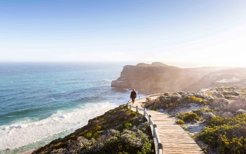 Plan Your Itinerary for a Full Day Cape Peninsula Tour