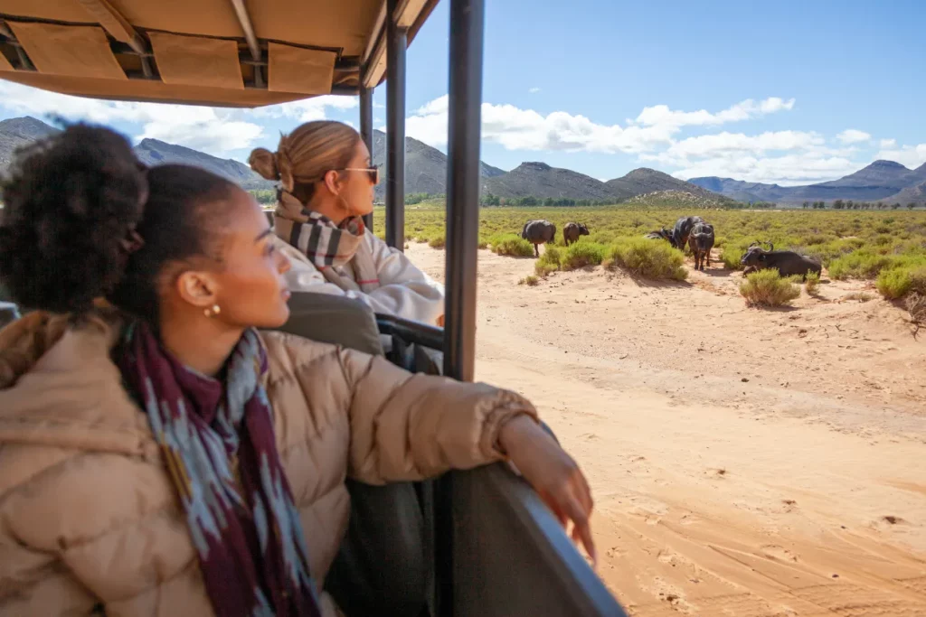 Best Way to Get From Cape Town to Aquila Private Game Reserve