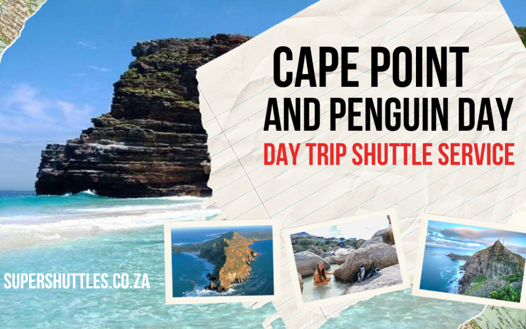 Cape Point And Penguin Day Trip Shuttle Service