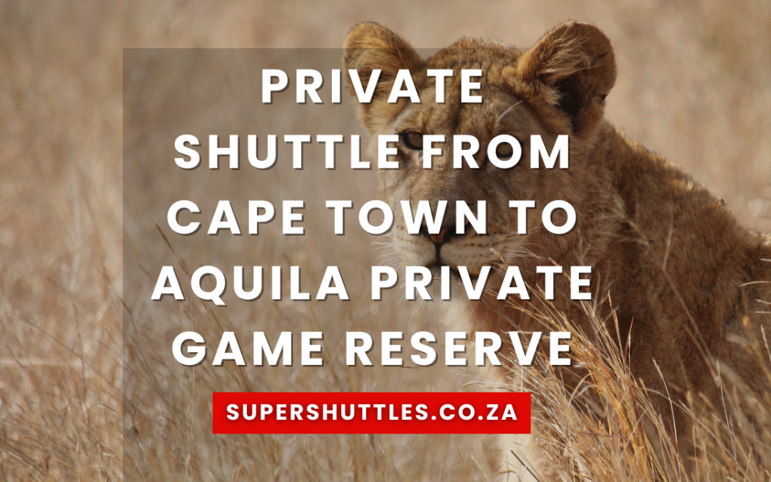 Private Shuttle From Cape Town To Aquila Private Game Reserve