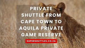 Private Shuttle From Cape Town To Aquila Private Game Reserve