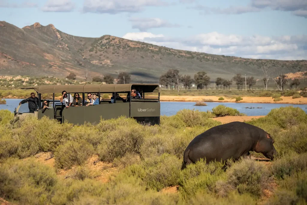 What Makes Aquila Private Game Reserve a Must-Visit Destination?