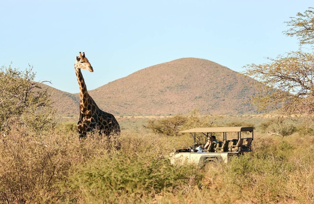 What Safari Activities Can You Enjoy in These Reserves