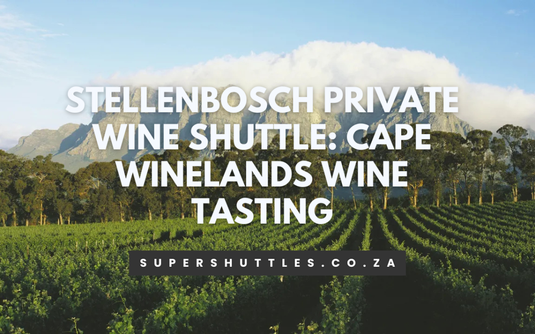 Stellenbosch Private Wine Shuttle: Cape Winelands Wine Tasting